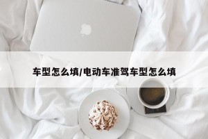 车型怎么填/电动车准驾车型怎么填