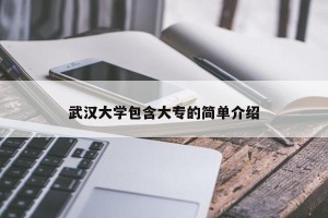 武汉大学包含大专的简单介绍
