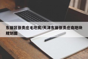 东丽区张贵庄毛坯房/天津东丽张贵庄南地块规划图