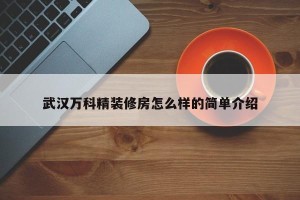 武汉万科精装修房怎么样的简单介绍