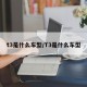 t3是什么车型/T3是什么车型