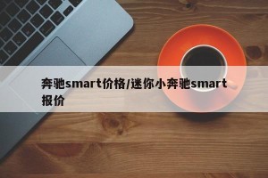 奔驰smart价格/迷你小奔驰smart报价