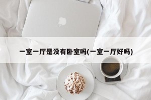 一室一厅是没有卧室吗(一室一厅好吗)