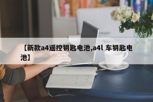 【新款a4遥控钥匙电池,a4l 车钥匙电池】