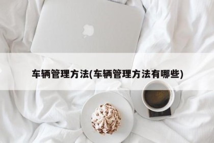 车辆管理方法(车辆管理方法有哪些)