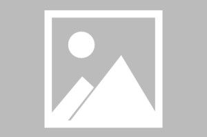 【大众suv车型价格表,大众suv有哪几款车型】